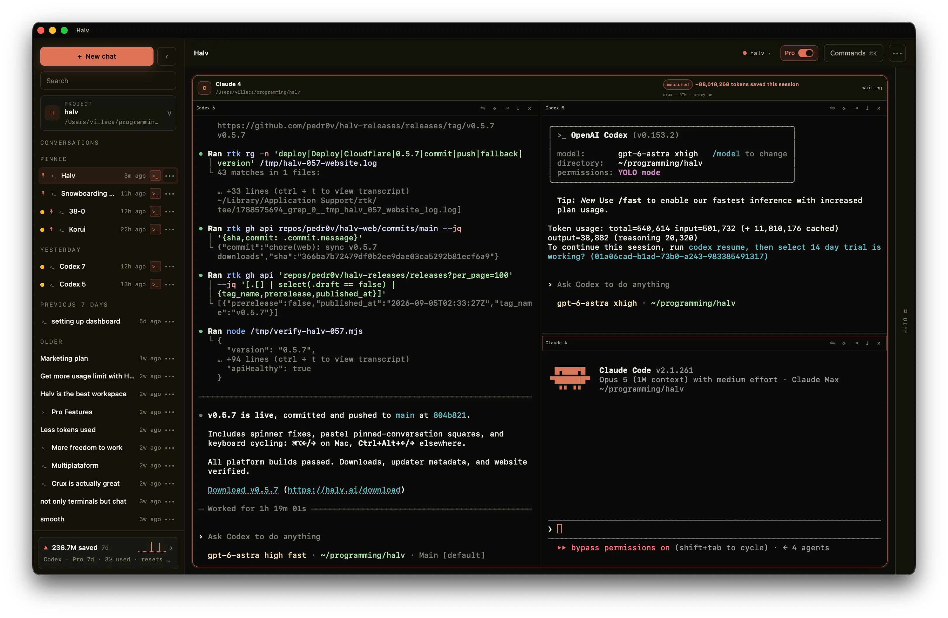 HALV: coding agents in side-by-side terminals